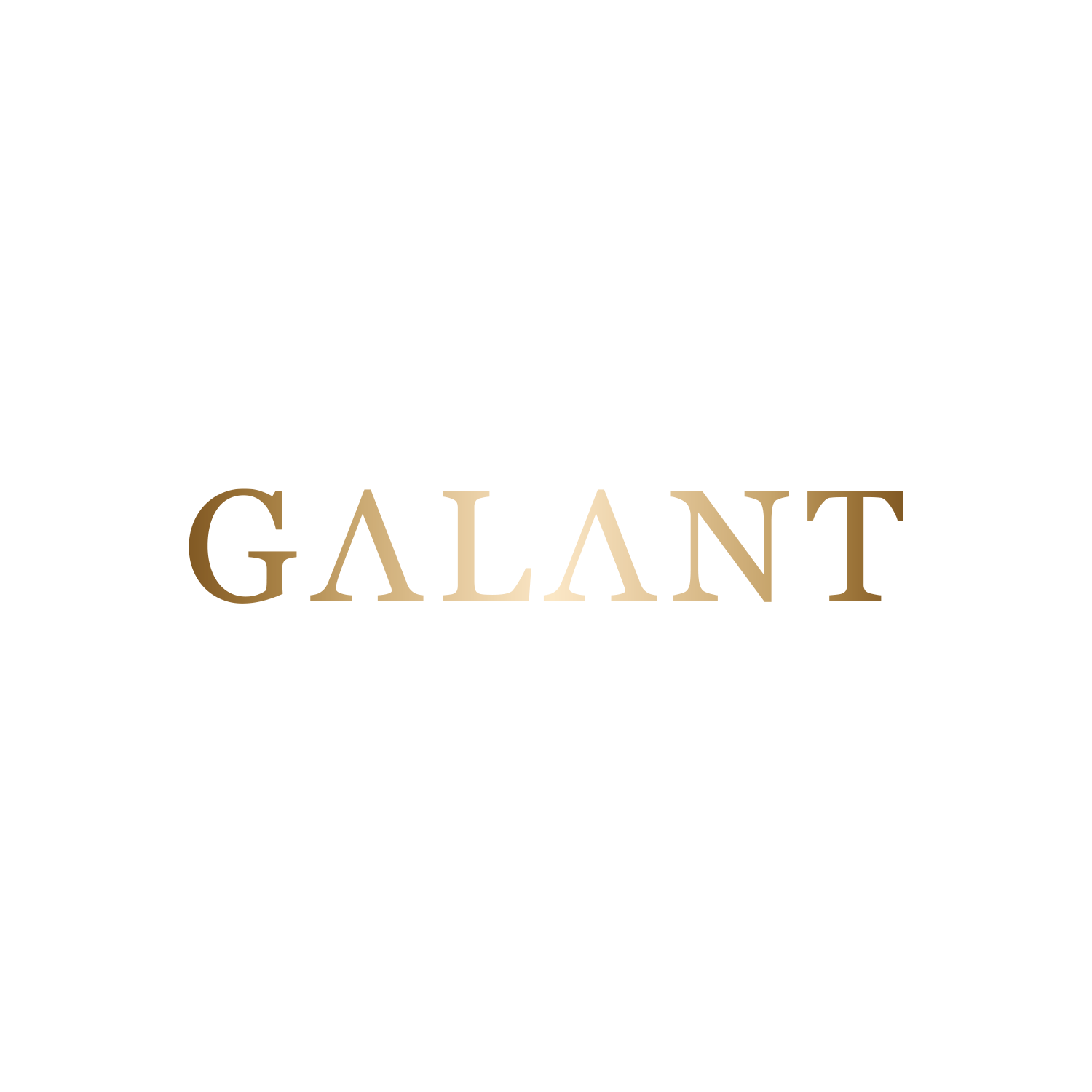 My Galant